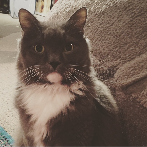 All About Me! - Picture 3 of 4